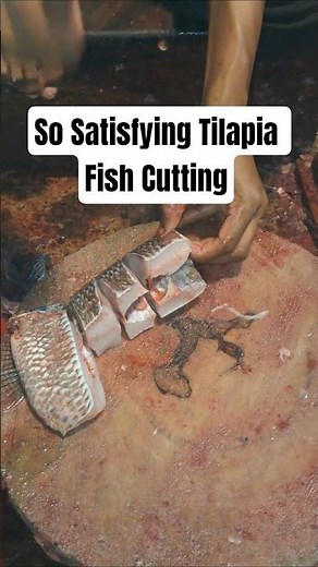 Professional Tilapia Fish Cutting Skills | Fast & Clean Filleting Technique