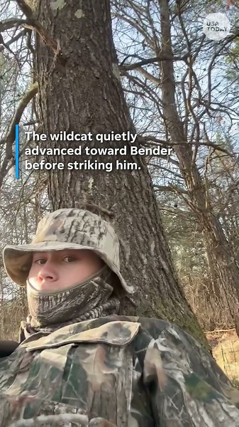 Bobcat quietly stalks and strikes hunter. See chilling video.