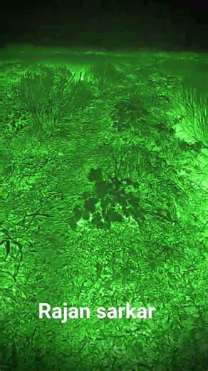 rajan #fouryou #lifeisbutadream #ihavethisthingwithplants #cute #funny