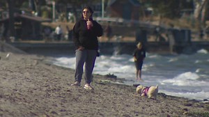 Alki Beach locals, businesses eager as West Seattle Bridge finally reopens