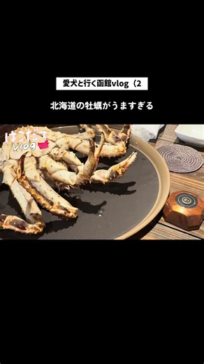 #vlog #旅行 北海道の牡蠣がうますぎた😿