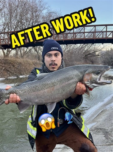 After countless weeks on edge, I finally caught my trophy trout!!!🏆🎄 Happy holidays! #steelhead #rainbowtrout #bigfish #creek #icefishing