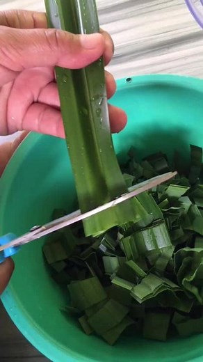 Exploring Traditional Bugis Cuisine | Authentic Khas Bugis Recipes