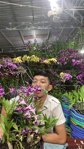 (Tham Khảo Mặt Hoa ) Hotline:090.317.7978 ☎️☎️