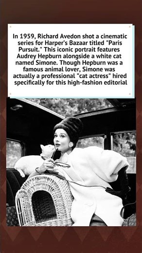 Audrey Hepburn & Simone the Cat (1959)#film