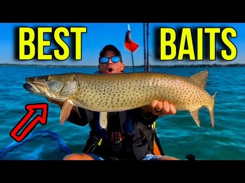 THE BEST MUSKY FISHING BAITS….PERIOD!