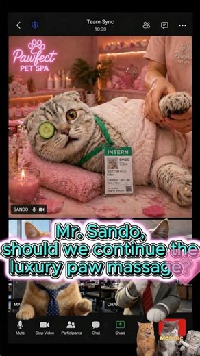 Expectation: Sales Report / Reality: Spa Report
