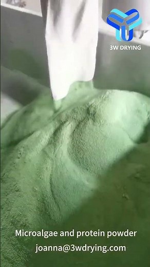 Microalgae and protein powder making machine spray dryer