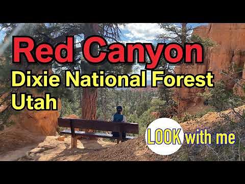 Hiking Red Canyon in Dixie National Forest | 4K