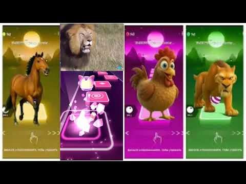 Funny Animals - Cow 🆚 Tiger 🆚 Elephant 🆚 Lion 🎵 Tiles Hop #part33