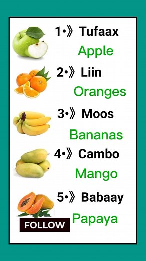 Learn Essential English to Somali Vocabulary