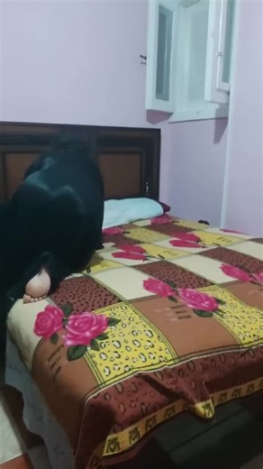 Stylish Braid Hair Tutorial for Big Buns