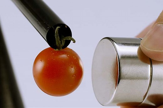 磁力 ｜ 自由研究におすすめ！家庭でできる科学実験シリーズ「120秒の科学」｜ NGKサイエンスサイト ｜ NGK株式会社（旧社名：日本ガイシ株式会社）