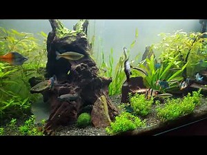 EHEIM aquapro 180 - akvarium