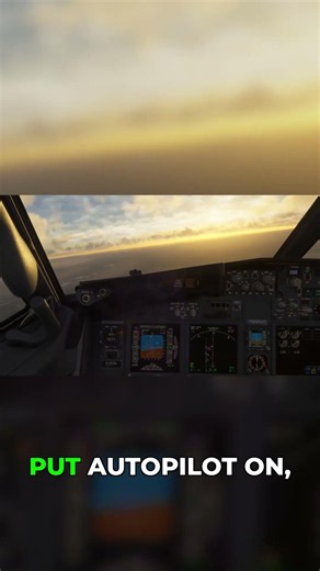 Flight Simulator: Setting Altitude & Autopilot