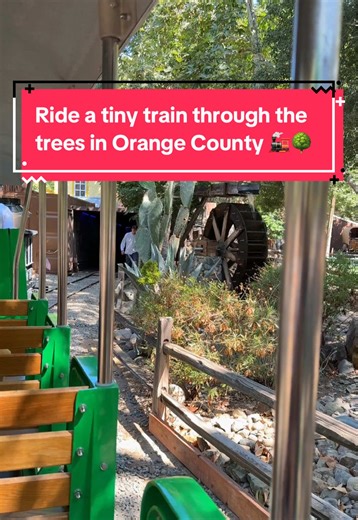Tiny Train Adventure in Orange County