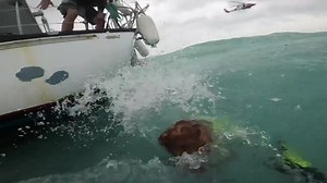 Department of Homeland Security on Reels