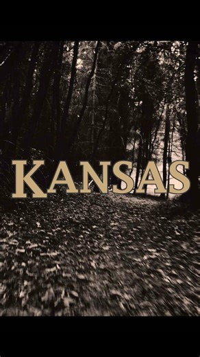 23 reactions | My new single #Kansas ️ & its official video is out...