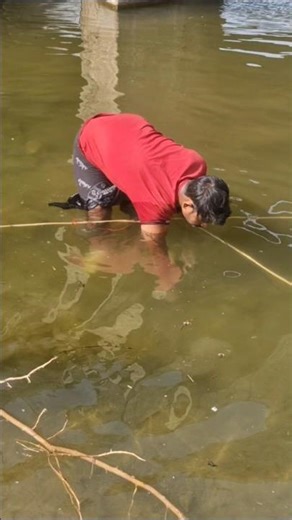 Dam mein sab Koi machhali pakad rahe hain || #shorts #viral #fishing #fish #machhali padhne ka video
