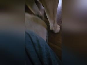 BB Fat Girl Dogcum Swallow Extravaganza