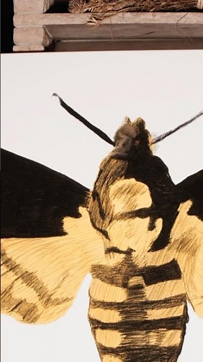 wie ich den trickfilm zeichne