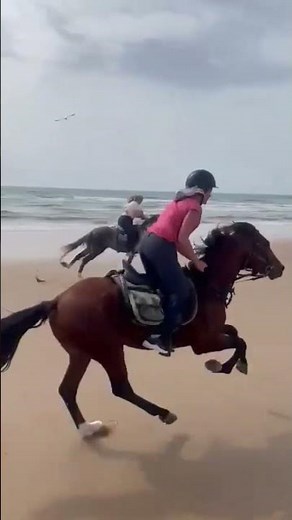 Galop sur la plage 🥰
