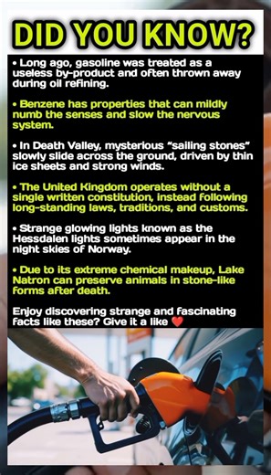 These Real Facts Feel Like Science Fiction 🌍😱