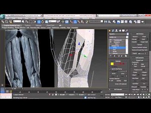 3DS Max Character Modeling Tutorial |Forming the Midline of the Body