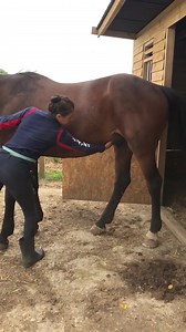 46 reactions · 313 shares | This lovely lady was having issues with...