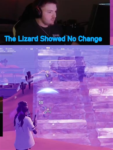 What is the Lizard Looking at in Fortnite?