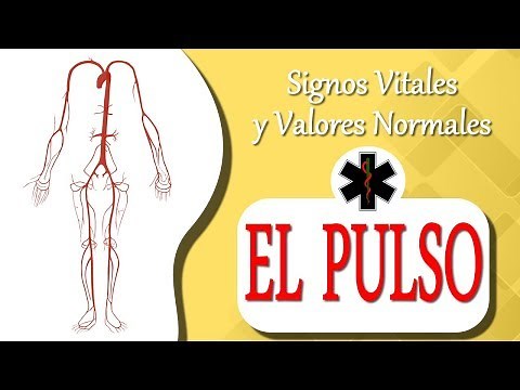 QUE ES EL PULSO cardiaco !!! [ Signos Vitales ]