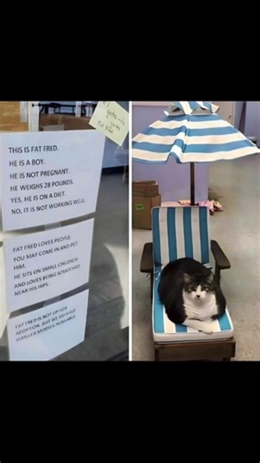 Party games that make everyone laugh | Want more laughs? We’ve got the games