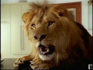 YTV (2008) - Full Commercial Break #3