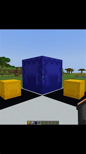 Minecraft Shulker Box Illusion🤯