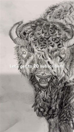 Realistic bison sketch! (New!)