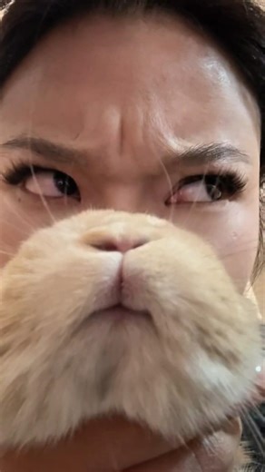 When Officer Judy Is on Duty 😁 #shorts #ytshorts #judyhopps