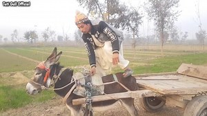 Tuti Gull Vines on Reels