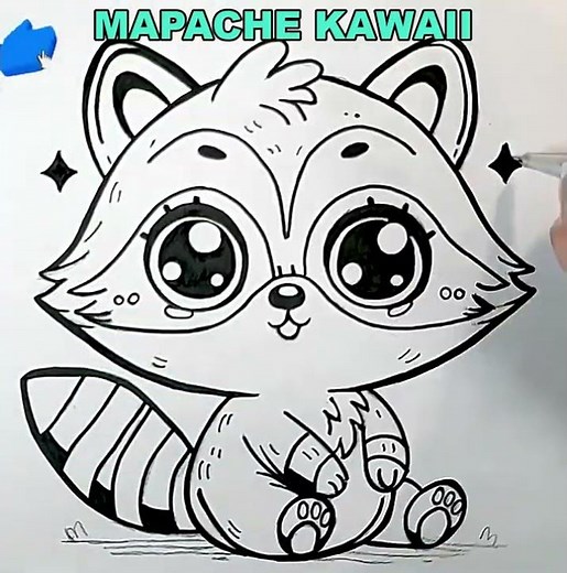We Draw and Color a Kawaii Raccoon | Drawings for Kids