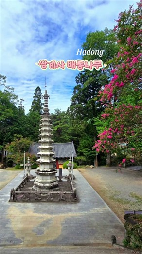 경남 하동 여름 사찰 여행 가볼만한곳 배롱나무 명소 쌍계사 천년 숲길 산책 행복나그네