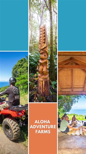 Want to experience the lush jungles, picturesque views, and deep-rooted traditions the Big Island of Hawaii has to offer? Reserve your spot on an ATV Tour or Carving Tour, and learn from local tour guides! 🌴 | Aloha Adventure Farms
