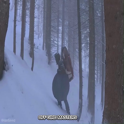 Surviving -39°C Alone in an Off-Grid Log Cabin #campinglife #camping #OffGridLiving #offgrid #OffGridLife #bushcraft | Off Grid Masters