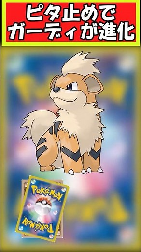 【ポケモン】ピタ止め位置でガーディの進化段階が変化【ピタ止めチャレンジ】＃ポケモン #pokemon #ポケットモンスター