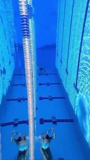 1.4K views · 34 reactions | Powerful, graceful, and fast - butterfly kick has it all!  ⁠⁠⁠⁠⁠⁠ signebro⁠.⁠⁠.⁠⁠.⁠⁠.⁠⁠#DuoSwim #Swimming #SwimBikeRun #SwimmingPool #Pool #Water #Training #SwimTraining #SwimPractice #Underwater #ButterflyKick #SwimLife #WeekendSwim #TriathlonTraining #PoolPerfection #SwimSkills #SundaySwim #SwimStrong #SwimTechnique #UnderwaterMagic #ButterflyKickMastery | DuoSwim | Facebook