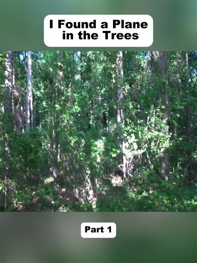 I Found a Plane in the Trees! - p1 #exploring #abandoned #history #woods #fypp #usa