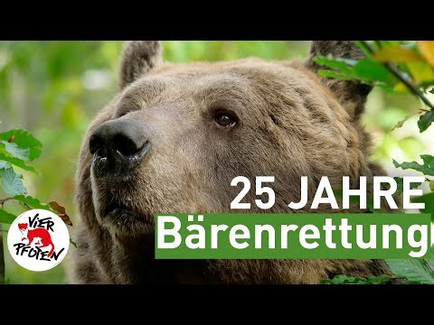 25 Jahre Bärenrettung | VIER PFOTEN