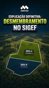 DEFINITIVE GUIDE: LAND SUBDIVISION IN SIGEF