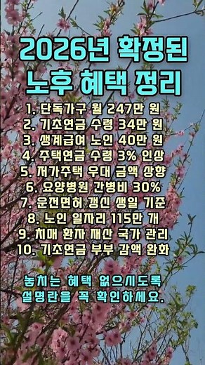The Truth About the 400,000 Won Basic Pension for Everyone in 2026: A Complete Guide to Eligibili...