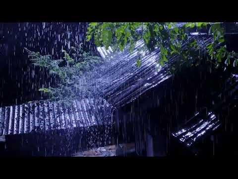 Rain on Roof Sounds for Sleeping – Deep Sleep, Stress Relief & Insomnia Aid