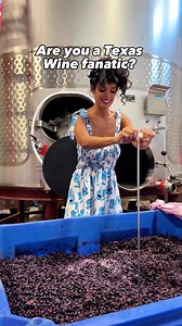 🍇Unique Texas Wine in Comfort, TX 🍷 On my visit to @bendingbranchwinery in Comfort, TX I had the incredible opportunity to tour the winery, and it was a very educational experience. One of the owners showed us around and even let us join in on the fun by punching some the grapes! 😊 Walking through the rows of bins filled with juicy grapes was insane. The sheer quantity was mind-boggling! We also learned about their unique winemaking process, cryo-maceration, which Bending Branch Winery pionee