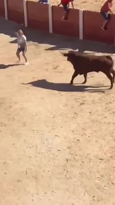 Torito oleeeee jaja | Grupos y bandas vip Mexico lg